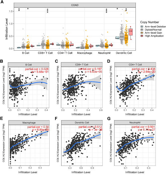 PMC10560230 – Fig9
