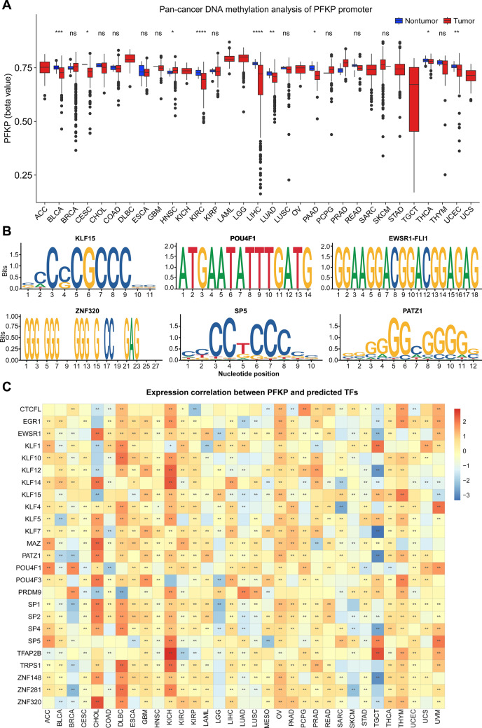 PMC10576092 – Fig10