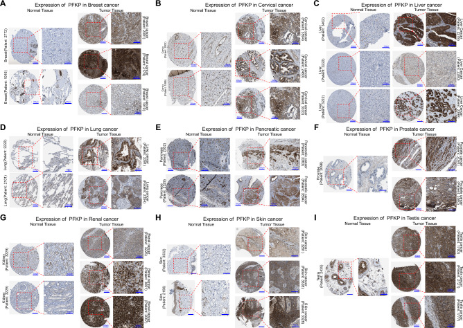 PMC10576092 – Fig2