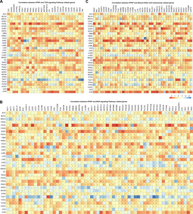 PMC10576092 – Fig6
