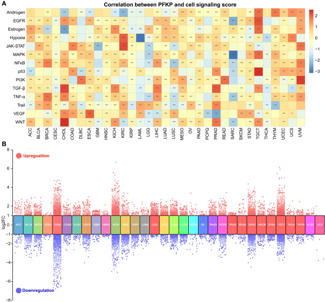 PMC10576092 – Fig7