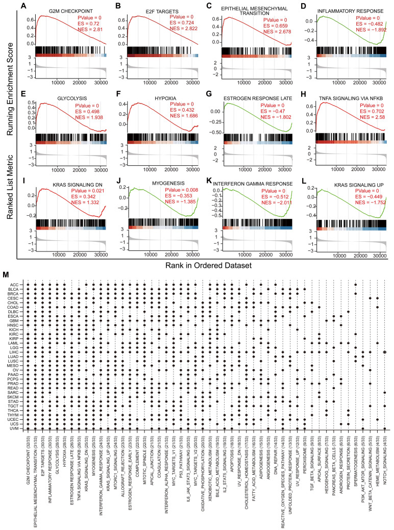 PMC10576092 – Fig8