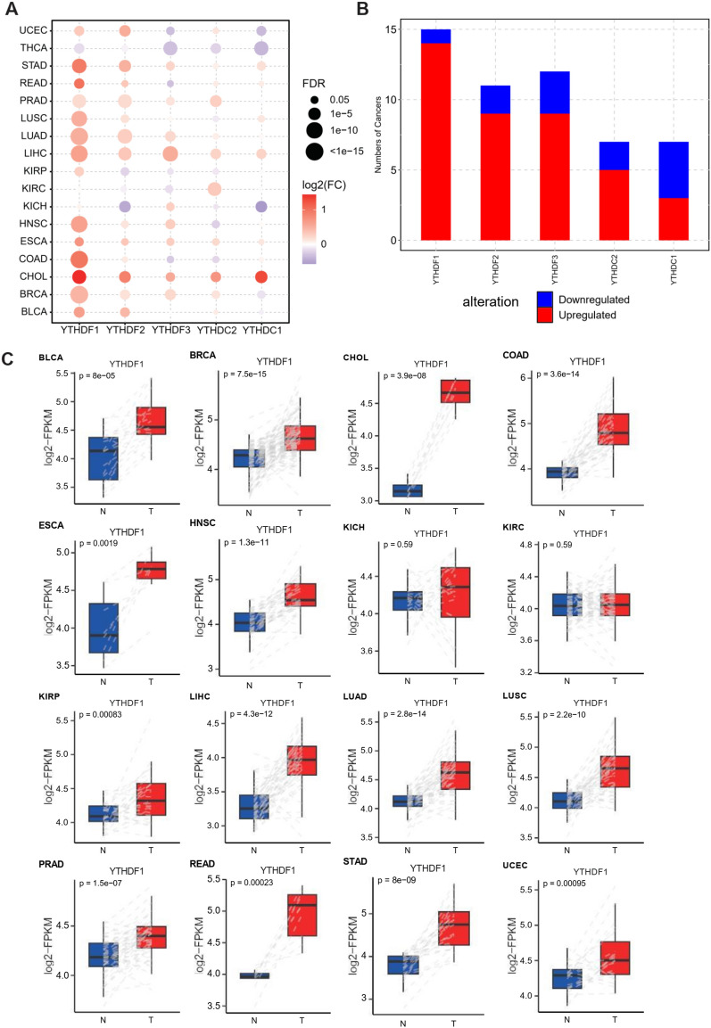 PMC10575994 – Fig1