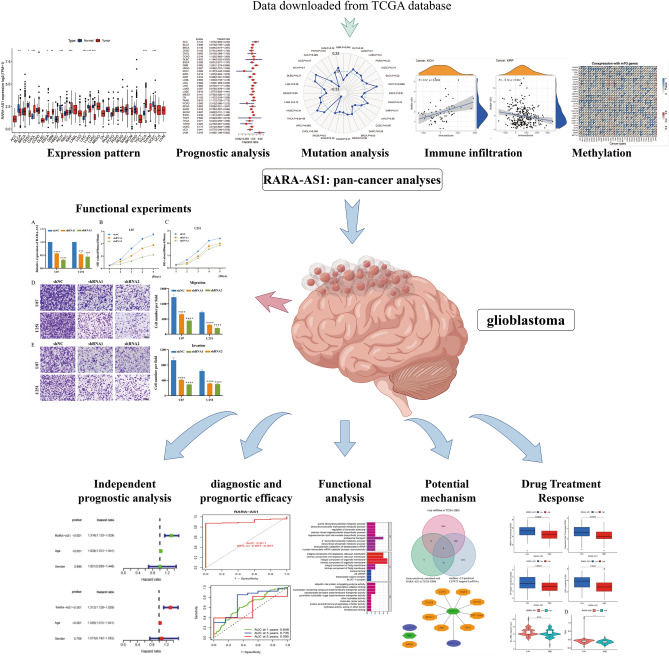 PMC10575974 – Fig1