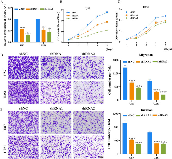 PMC10575974 – Fig9