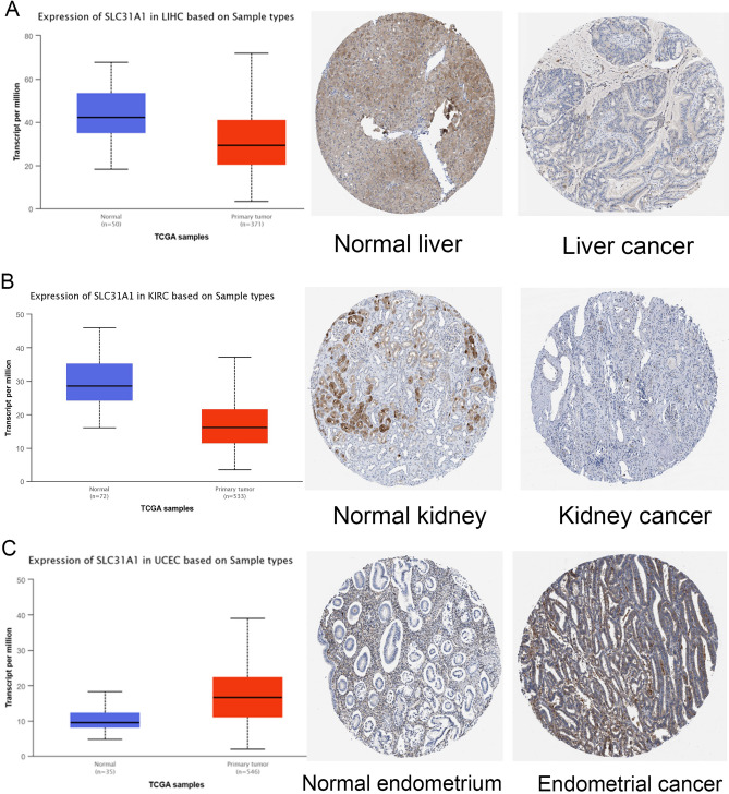 PMC10584849 – Fig2