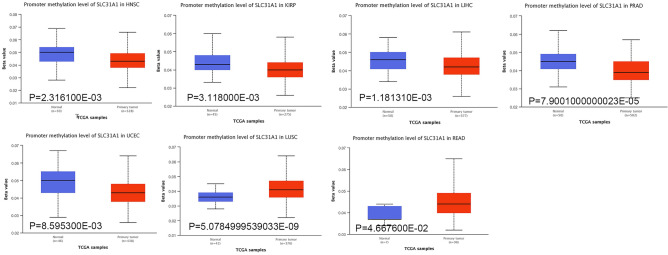 PMC10584849 – Fig5