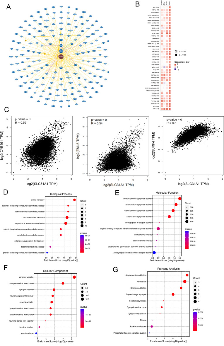 PMC10584849 – Fig8