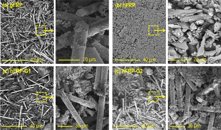 PMC10587156 – Fig6