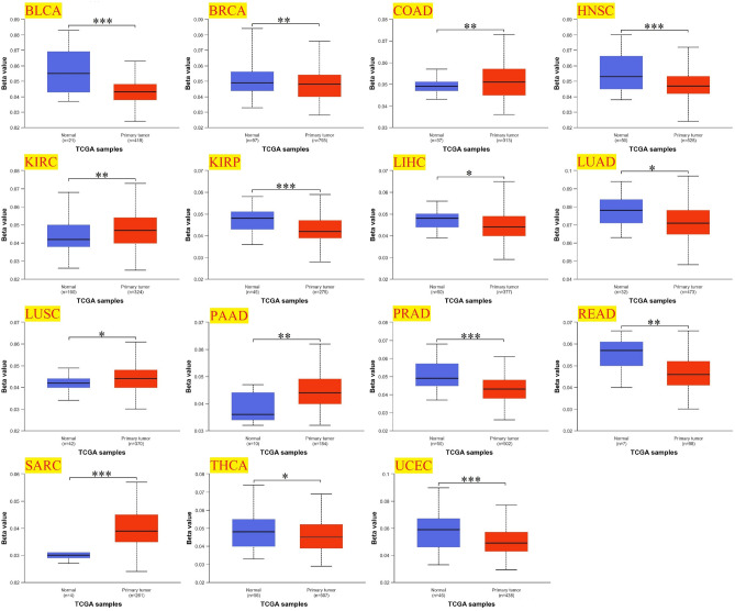 PMC10579340 – Fig10