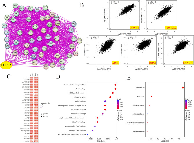 PMC10579340 – Fig12