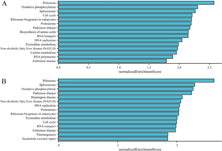 PMC10579340 – Fig13