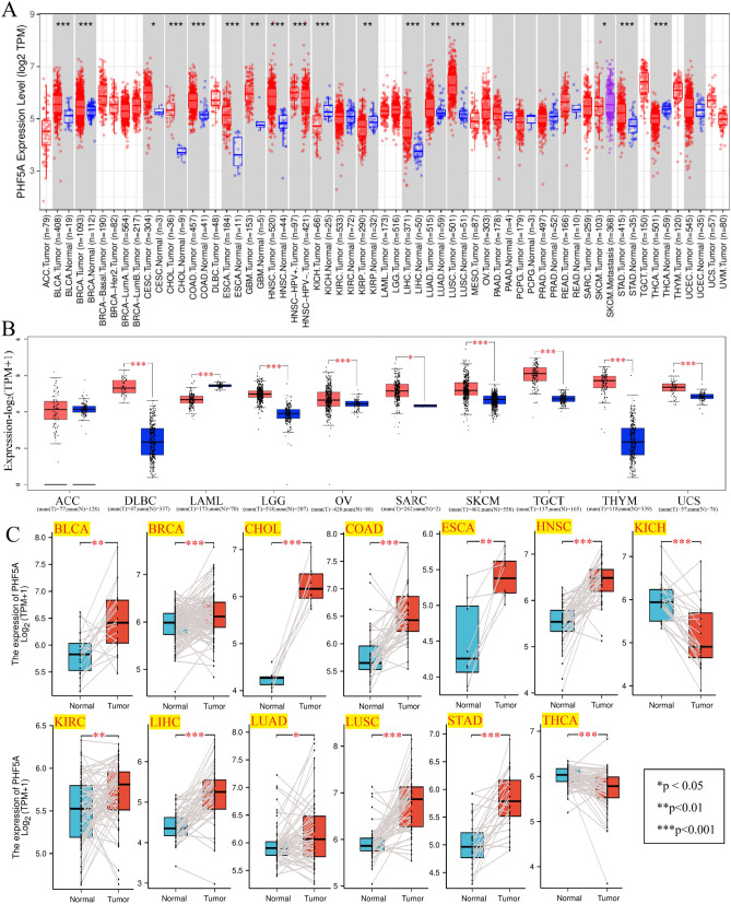 PMC10579340 – Fig1