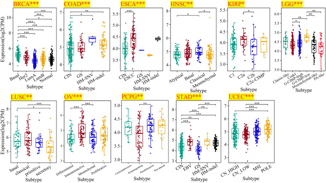 PMC10579340 – Fig4