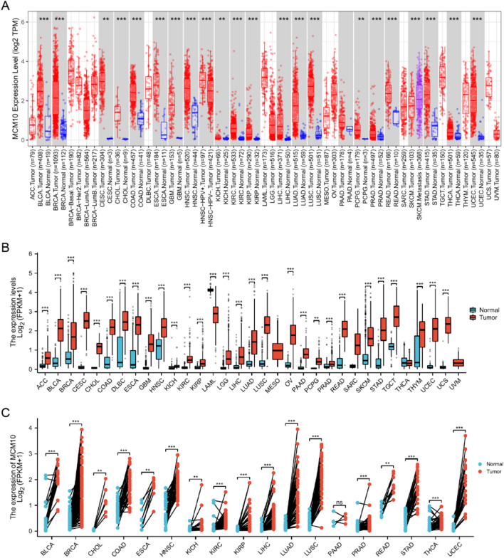 PMC10582070 – Fig1