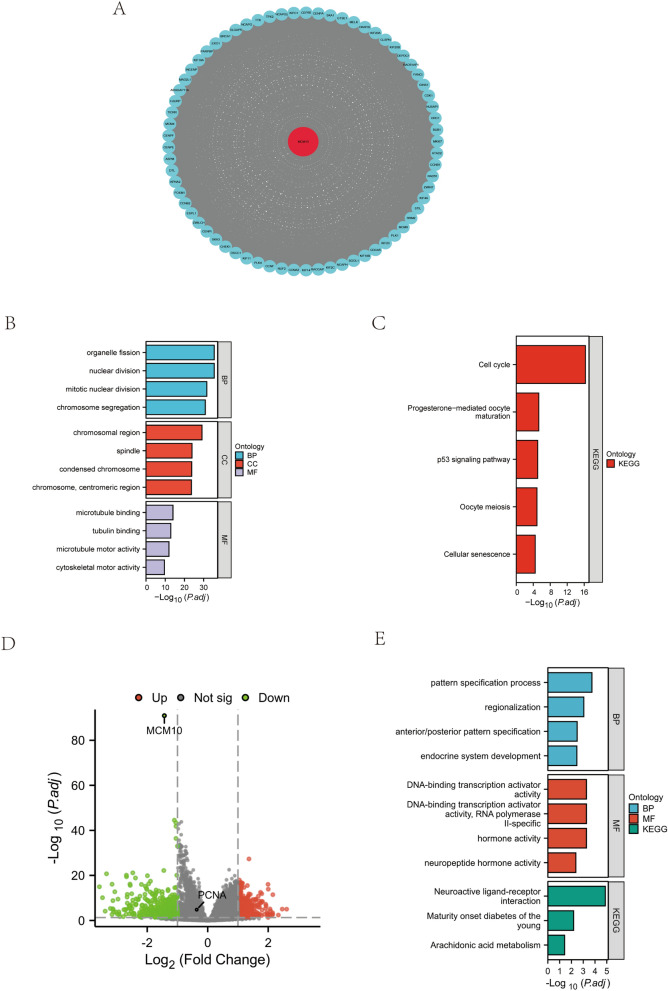 PMC10582070 – Fig6