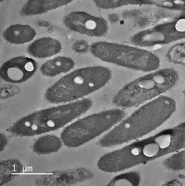 PMC10584911 – Fig3