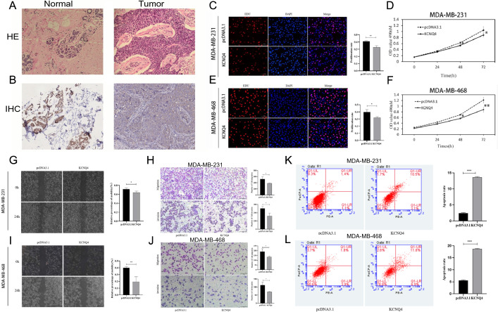 PMC10616121 – Fig14