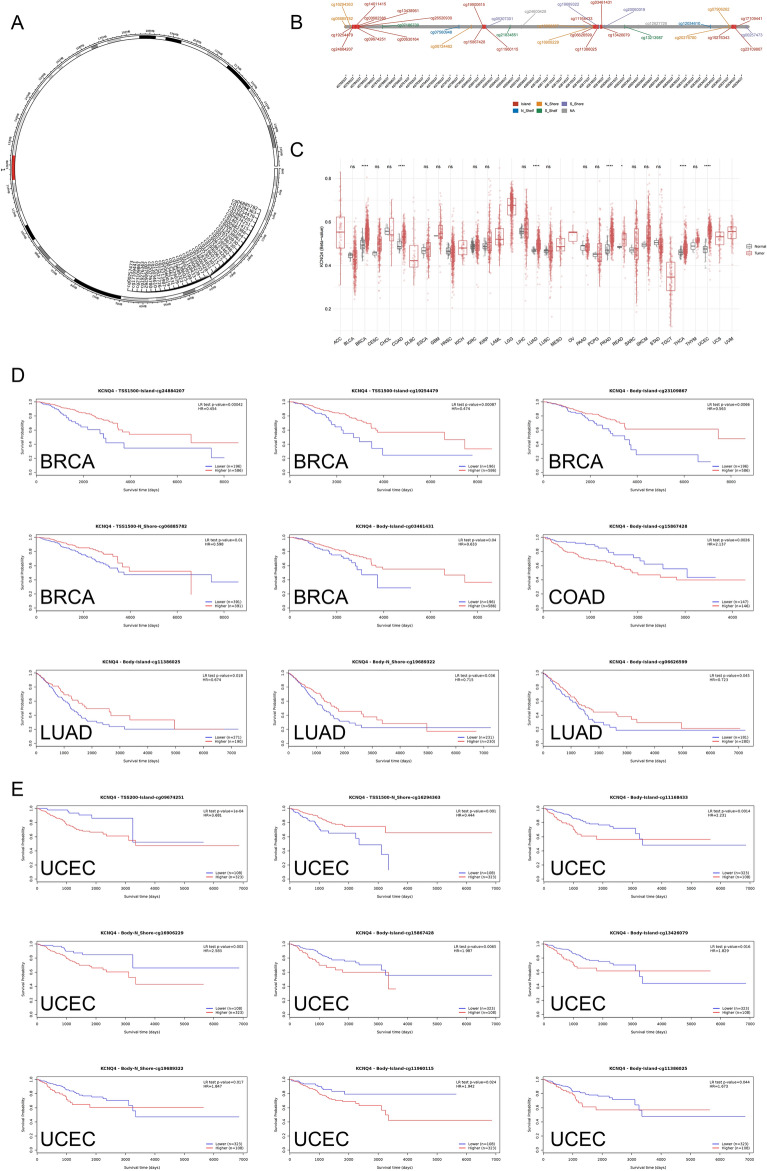 PMC10616121 – Fig3