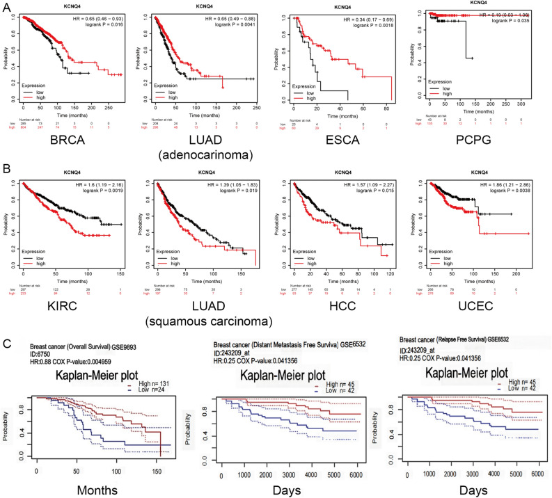 PMC10616121 – Fig5