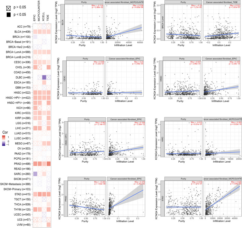 PMC10616121 – Fig8
