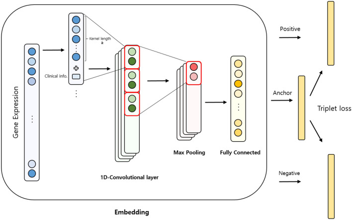 PMC10598120 – Fig1