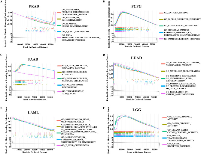 PMC10764887 – Fig10