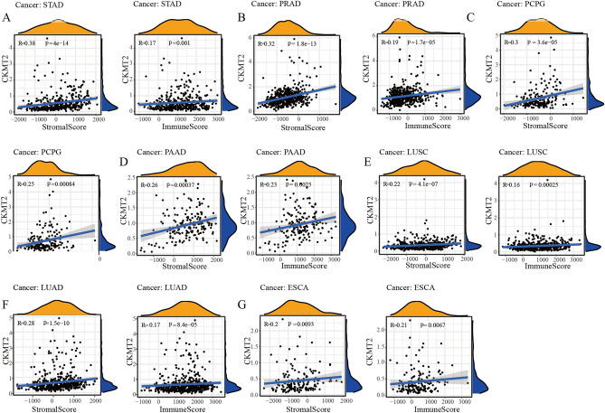 PMC10764887 – Fig11