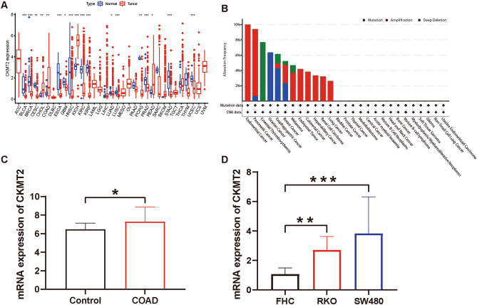 PMC10764887 – Fig1