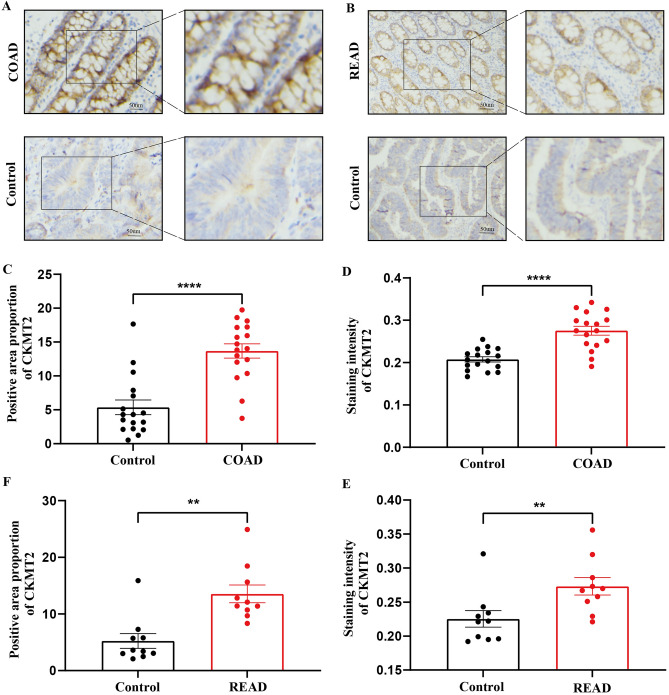 PMC10764887 – Fig3
