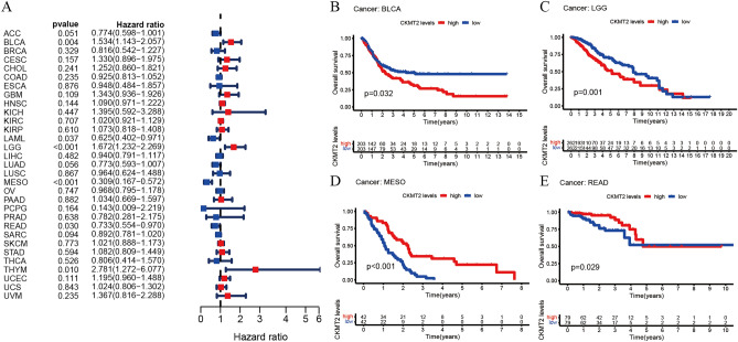 PMC10764887 – Fig4
