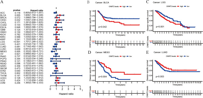 PMC10764887 – Fig5