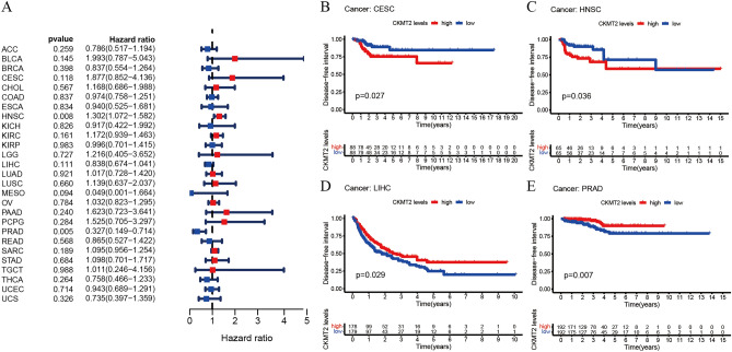 PMC10764887 – Fig6