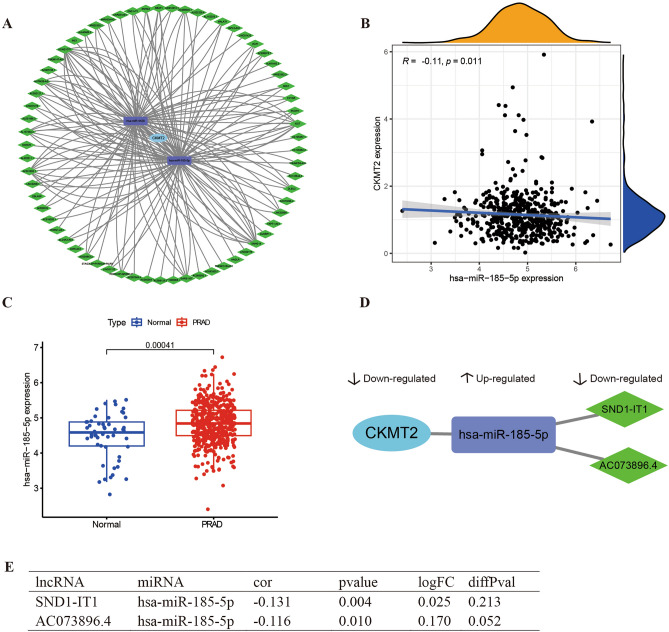 PMC10764887 – Fig8