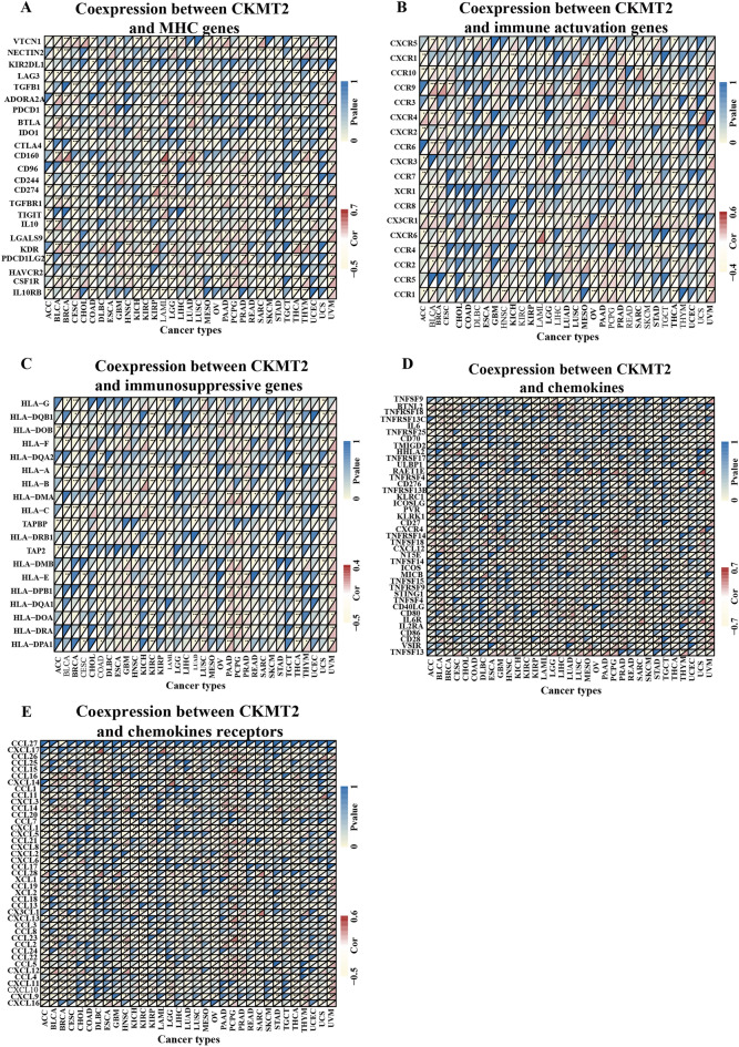PMC10764887 – Fig9