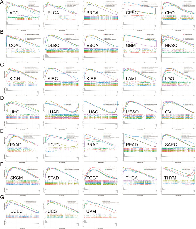 PMC10628205 – Fig12