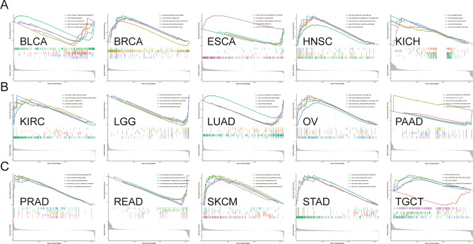 PMC10628205 – Fig13