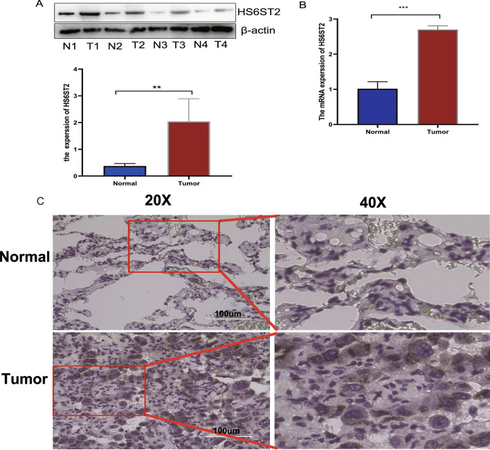 PMC10628205 – Fig14