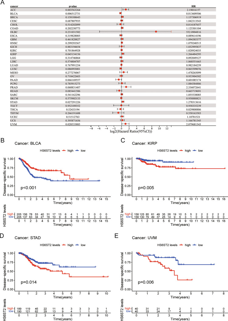 PMC10628205 – Fig4