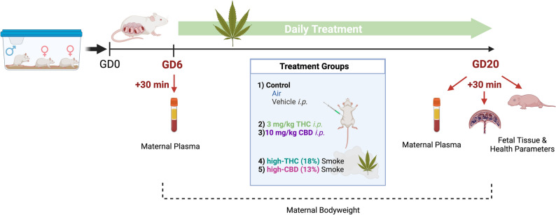 PMC10687022 – Fig1