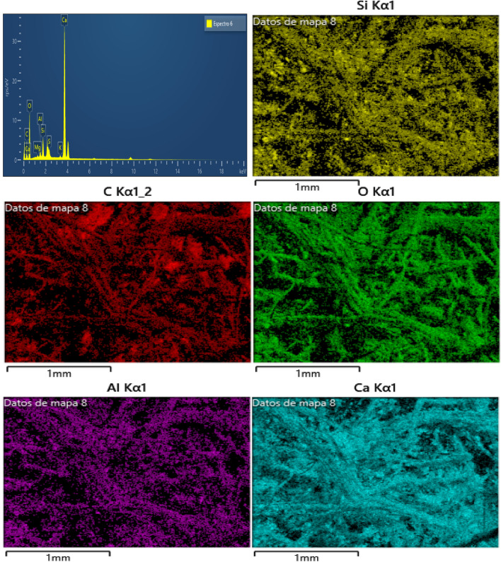 PMC10730513 – Fig12