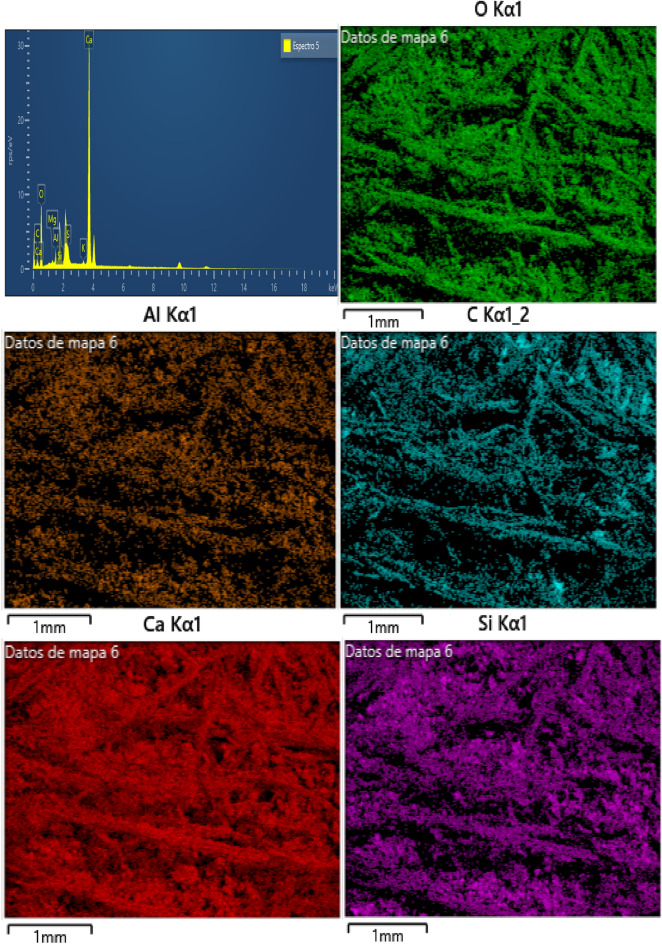 PMC10730513 – Fig13