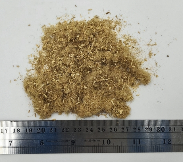 PMC10730513 – Fig1