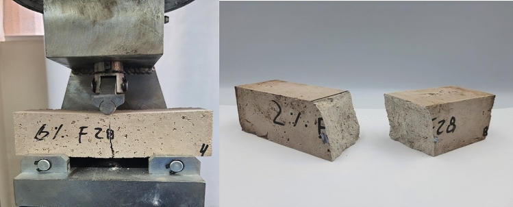 PMC10730513 – Fig6