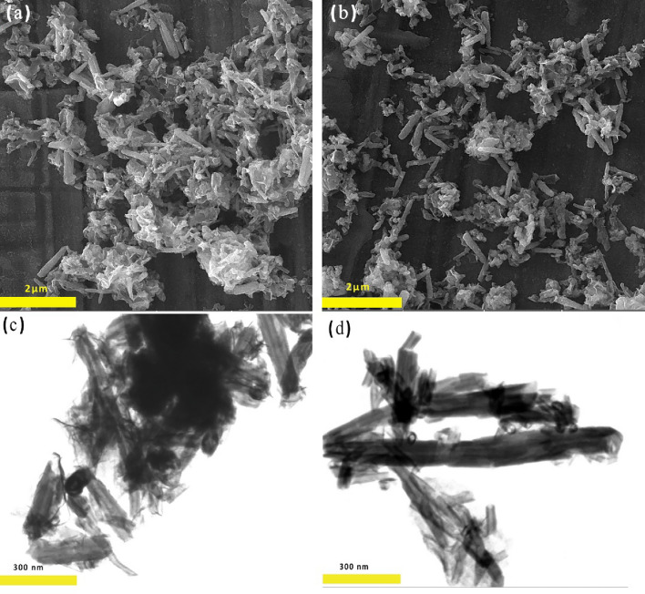 PMC10693565 – Fig1
