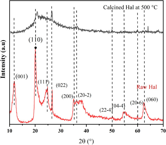 PMC10693565 – Fig2