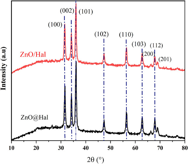 PMC10693565 – Fig3