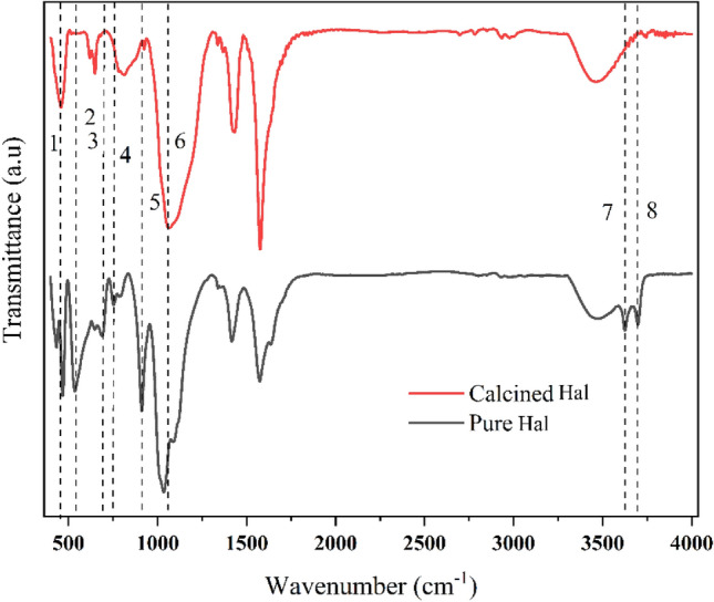 PMC10693565 – Fig4