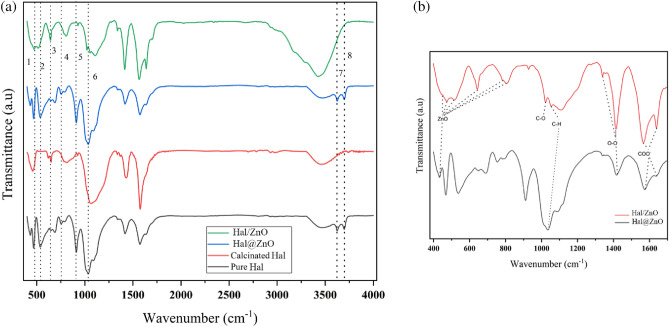 PMC10693565 – Fig5