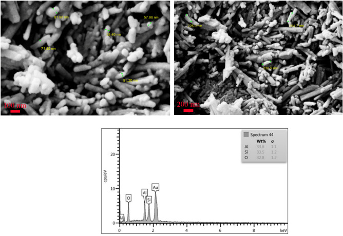 PMC10693565 – Fig7